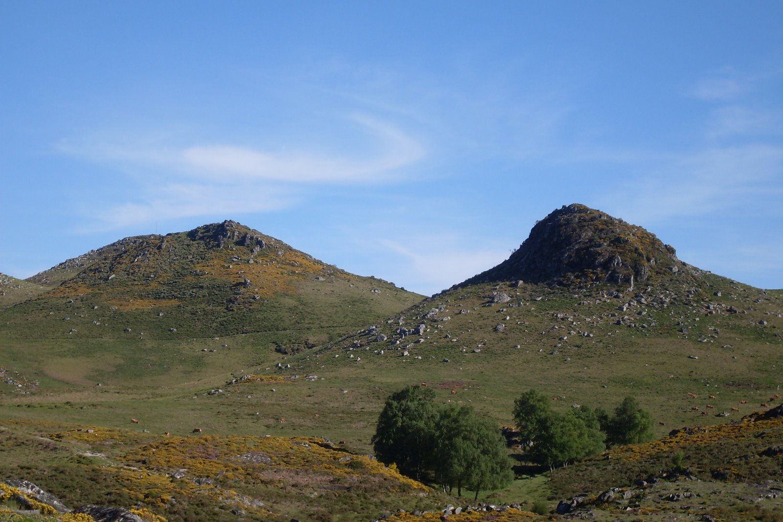 [SDC10607.JPG]