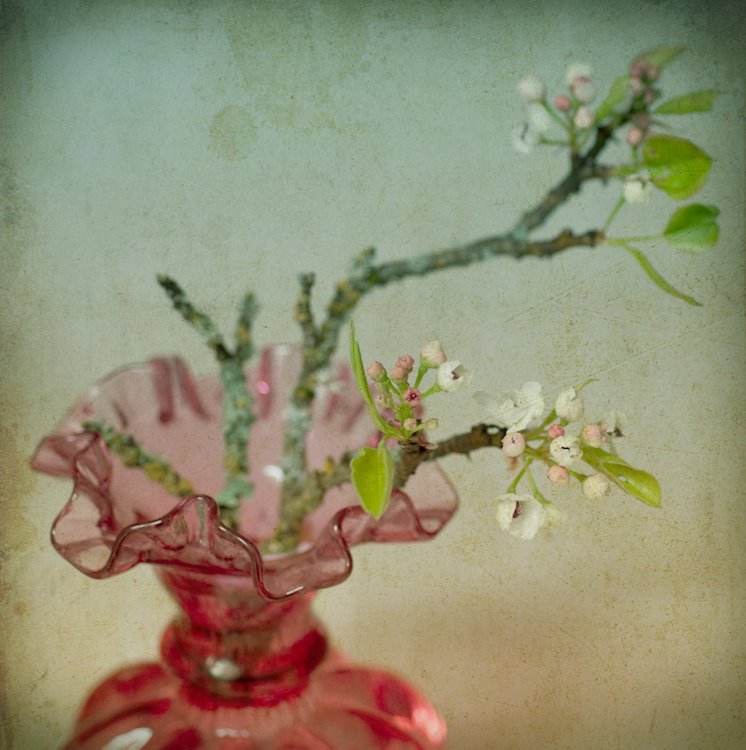 [20090418-20.jpg]