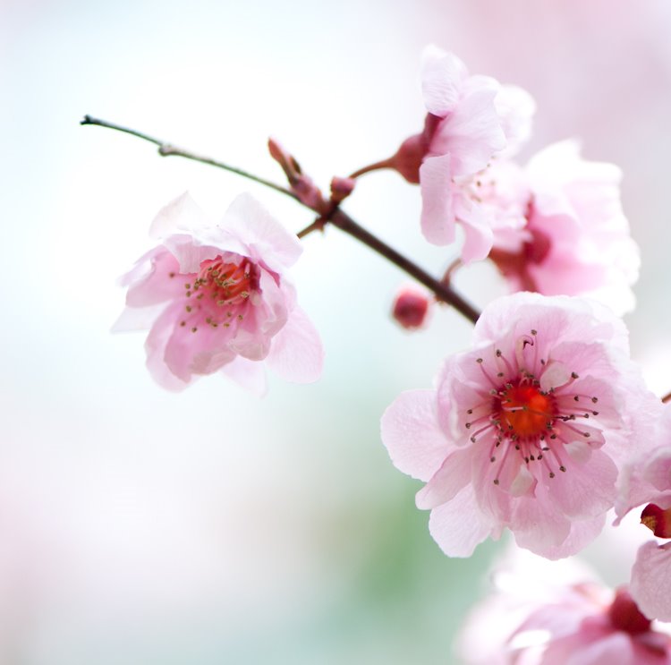 [20090416-49.jpg]