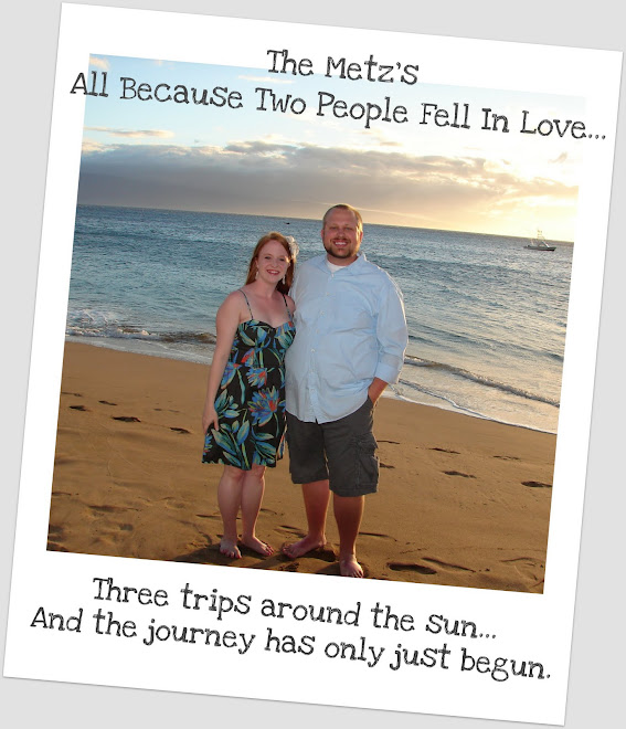 The Metz's