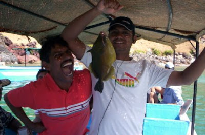 Bat Island Goa