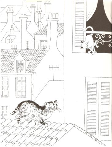 [cats2.jpg]