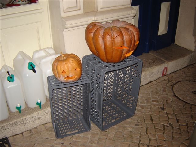 [DSC02839.JPG]