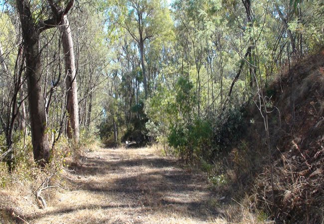 Path going to semi-cleared area on top of Block 1