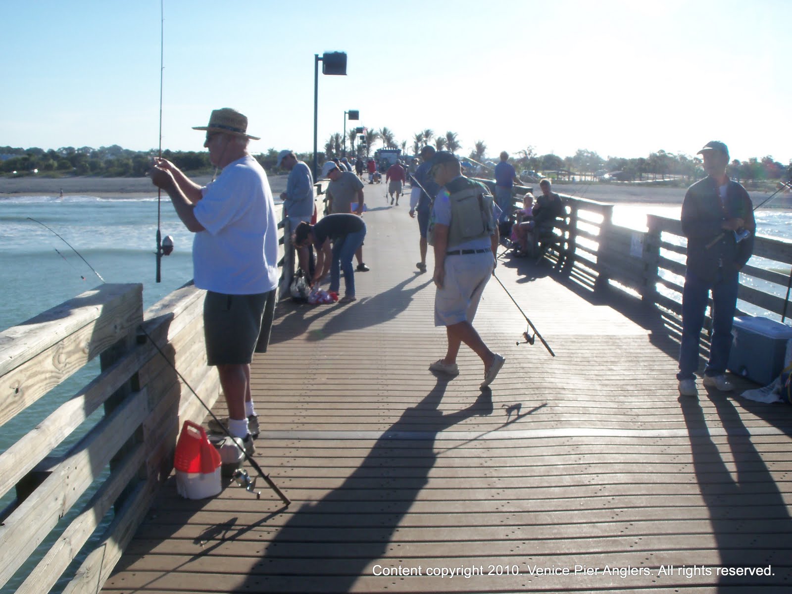 On the Boards in Venice Florida Venice Pier Fishing Tournament, Venice