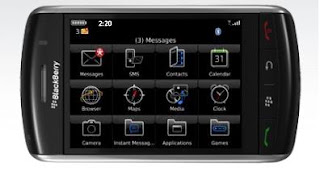 Blackberry storm