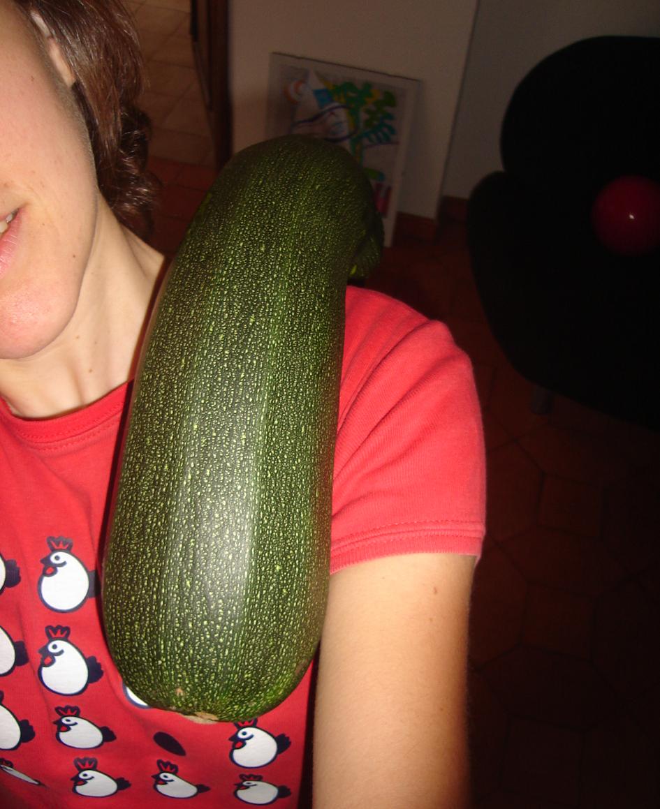 [courgette3.JPG]