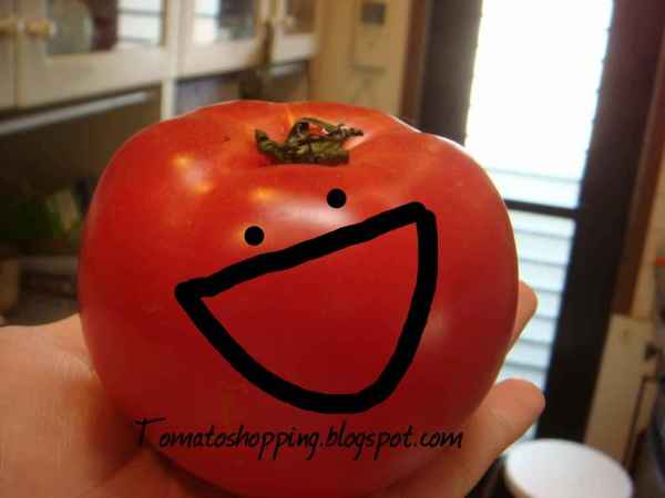 TomatoShopping