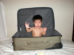 or checked luggage