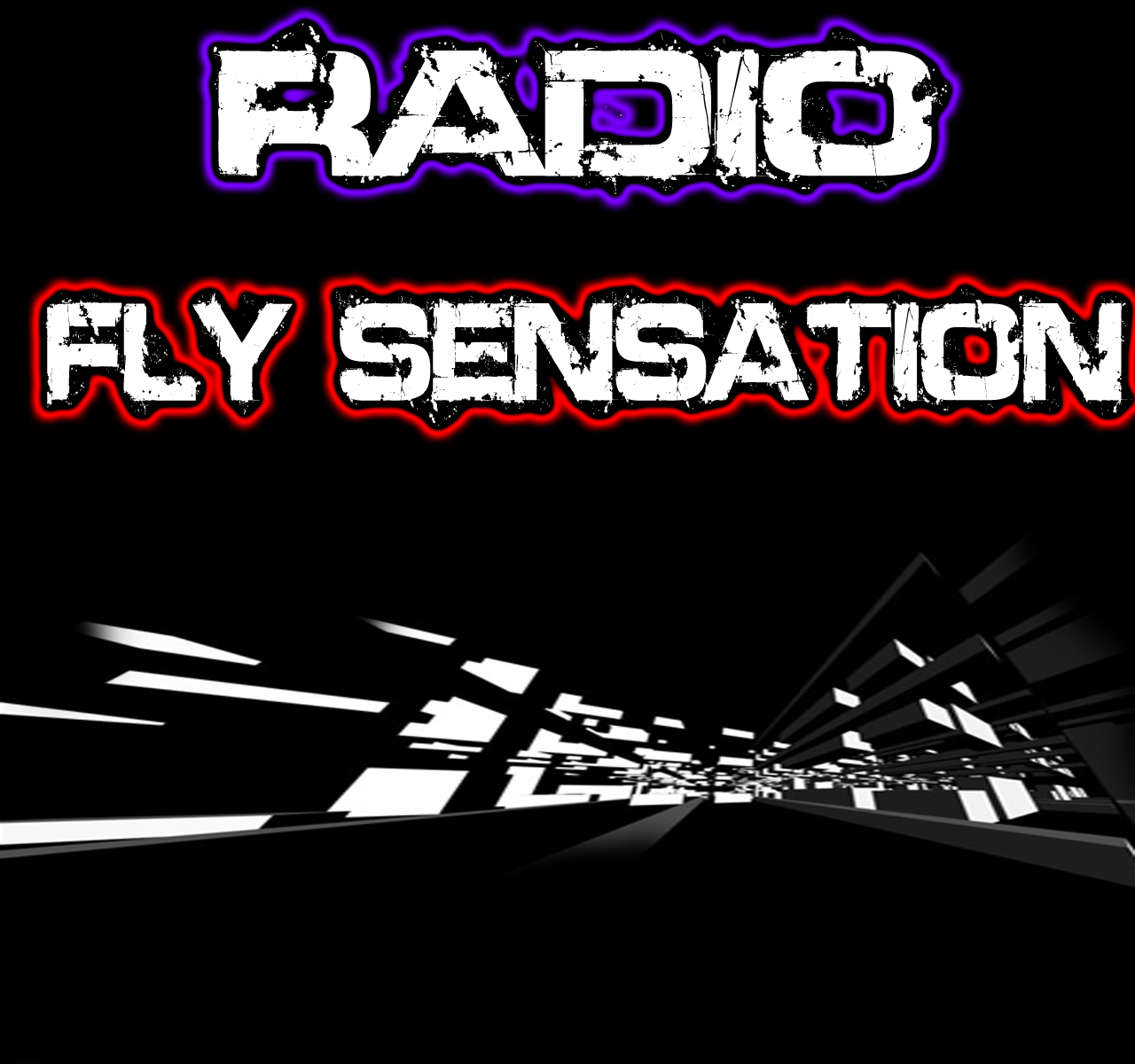 RADIO FLY SENSATION