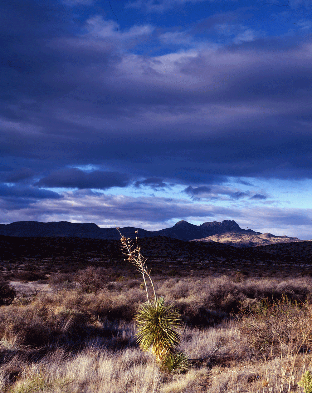 [Full-03-West-Texas.gif]