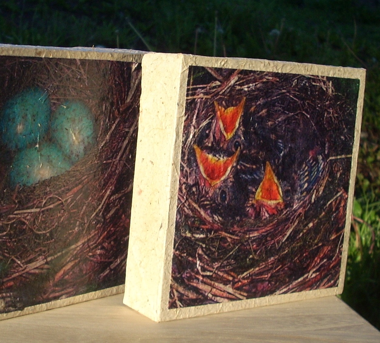 LizAnna's Studio Digital printing on handmade paper