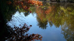Maples brighten the lake at Salmon Falls, ME