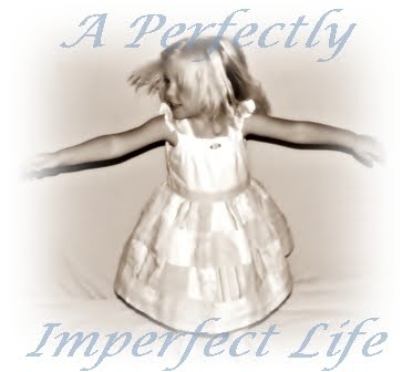 A Perfectly Imperfect Life
