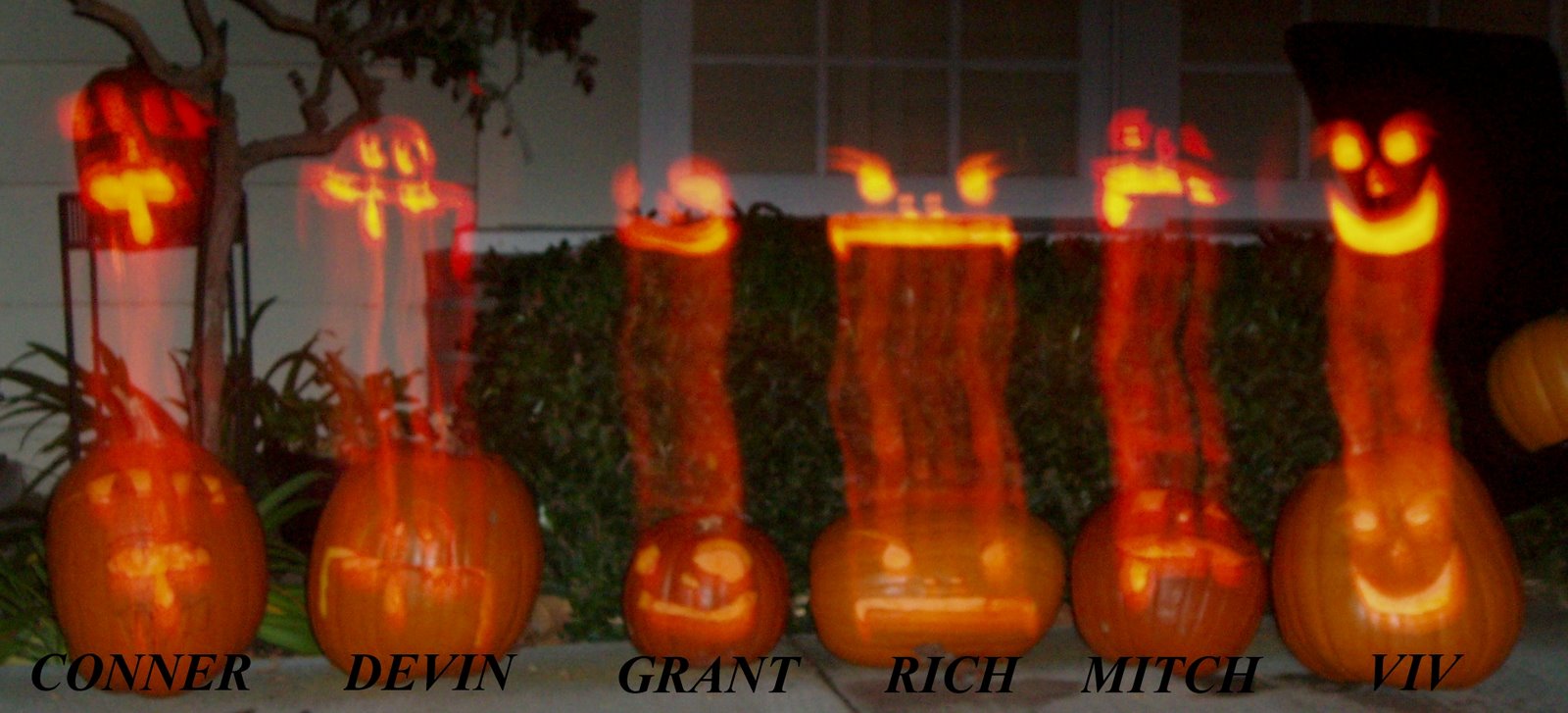 [October+2008+068+(4).jpg]