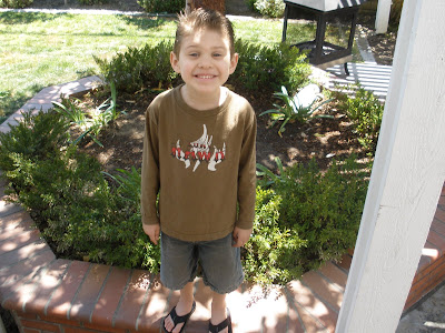 little boy standing in flower bed