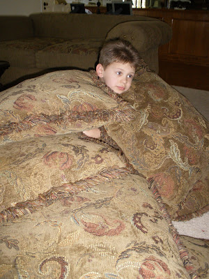 fort made of couch cushions