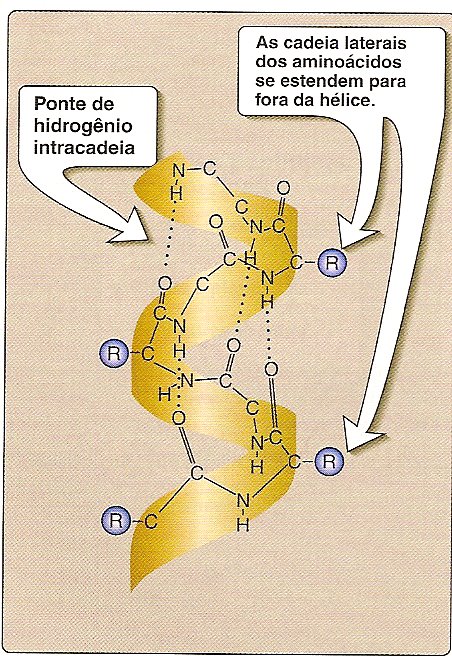 [Proteínas+5+001.bmp]