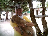 Wildlife like capybaras benefit from trees