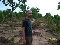 Amazonia Reforestation follows good environmental standards