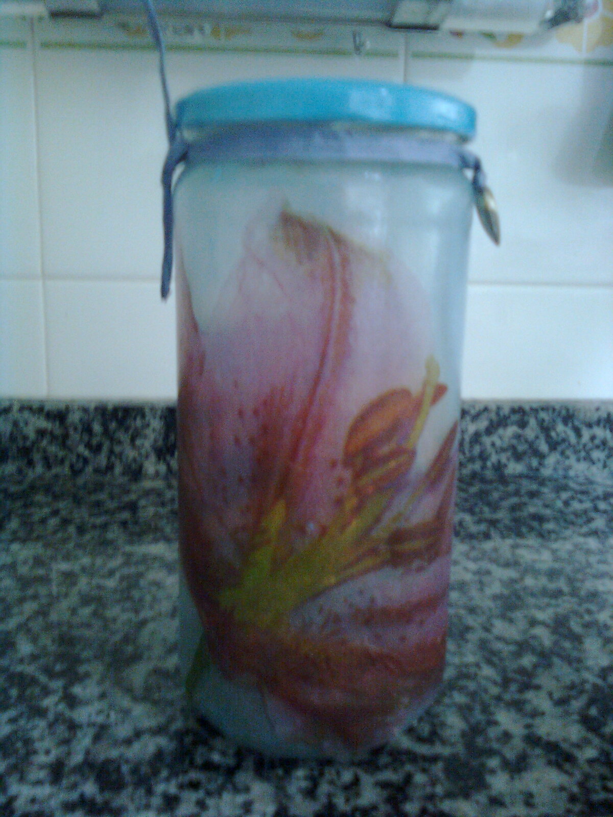 Mi regalo eres tu: junio 2010