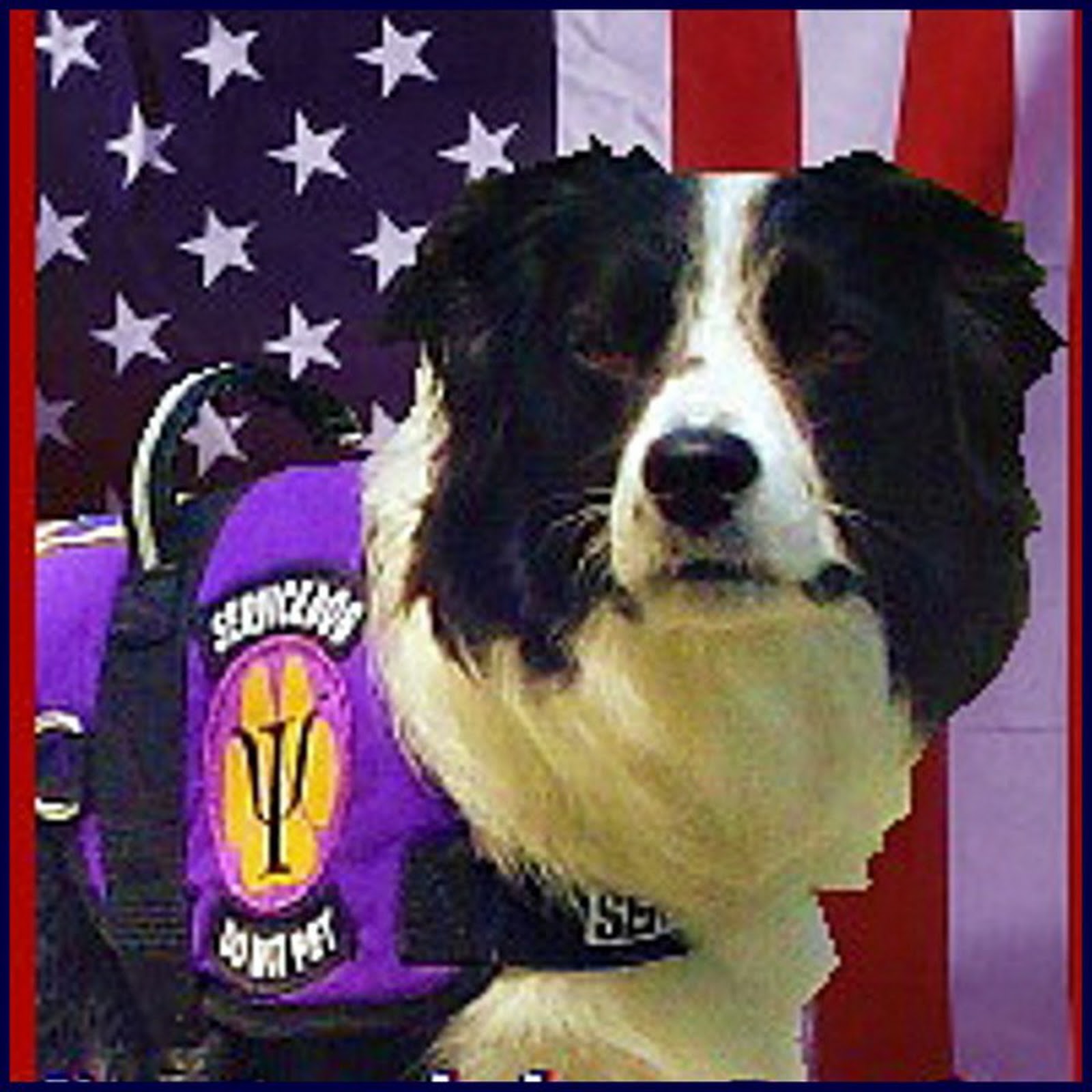 Oregon Psychiatric Service Dogs Oregon Psychiatric Service Dogs