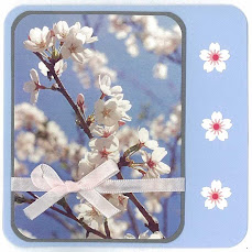 Cherry Blossom(sakura)