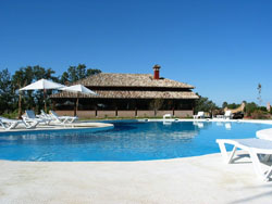 [no8nzv497nm7x3u.jpeg]