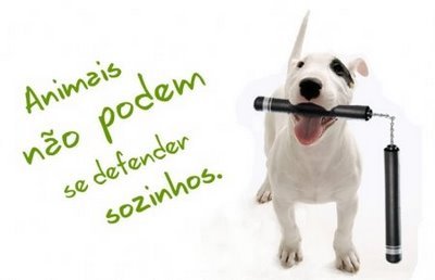 [4168f141f22bdba5f4cd3e6916e45c2cf75b0424.jpeg]