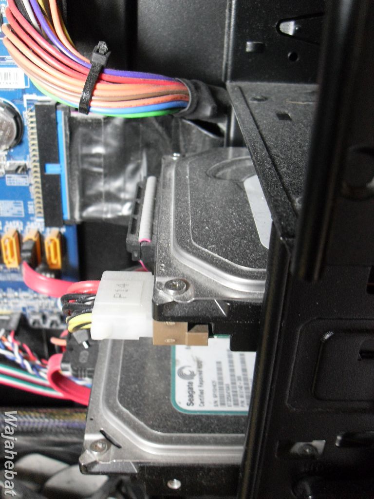 [SDC11555.JPG]