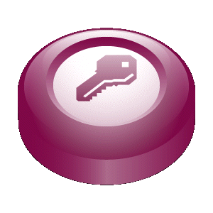 advanced access password