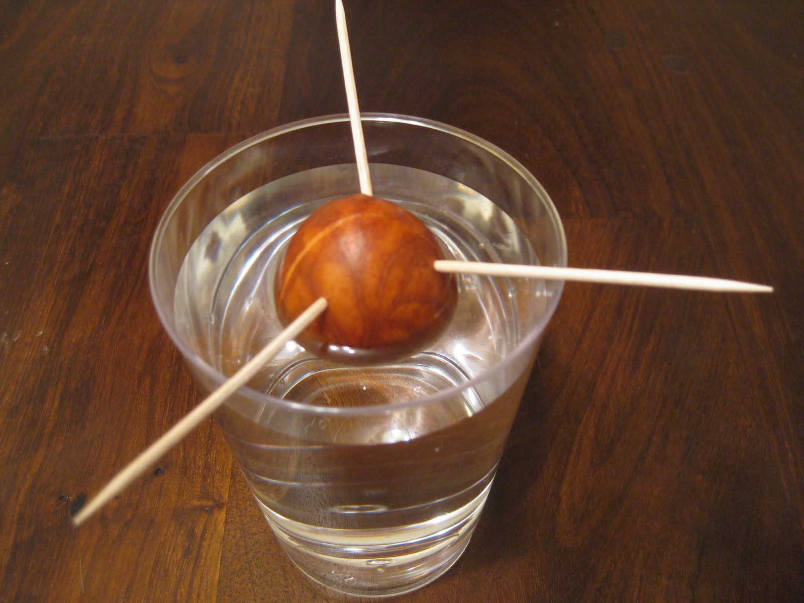 Afbeeldingsresultaat voor toothpick method+avocado