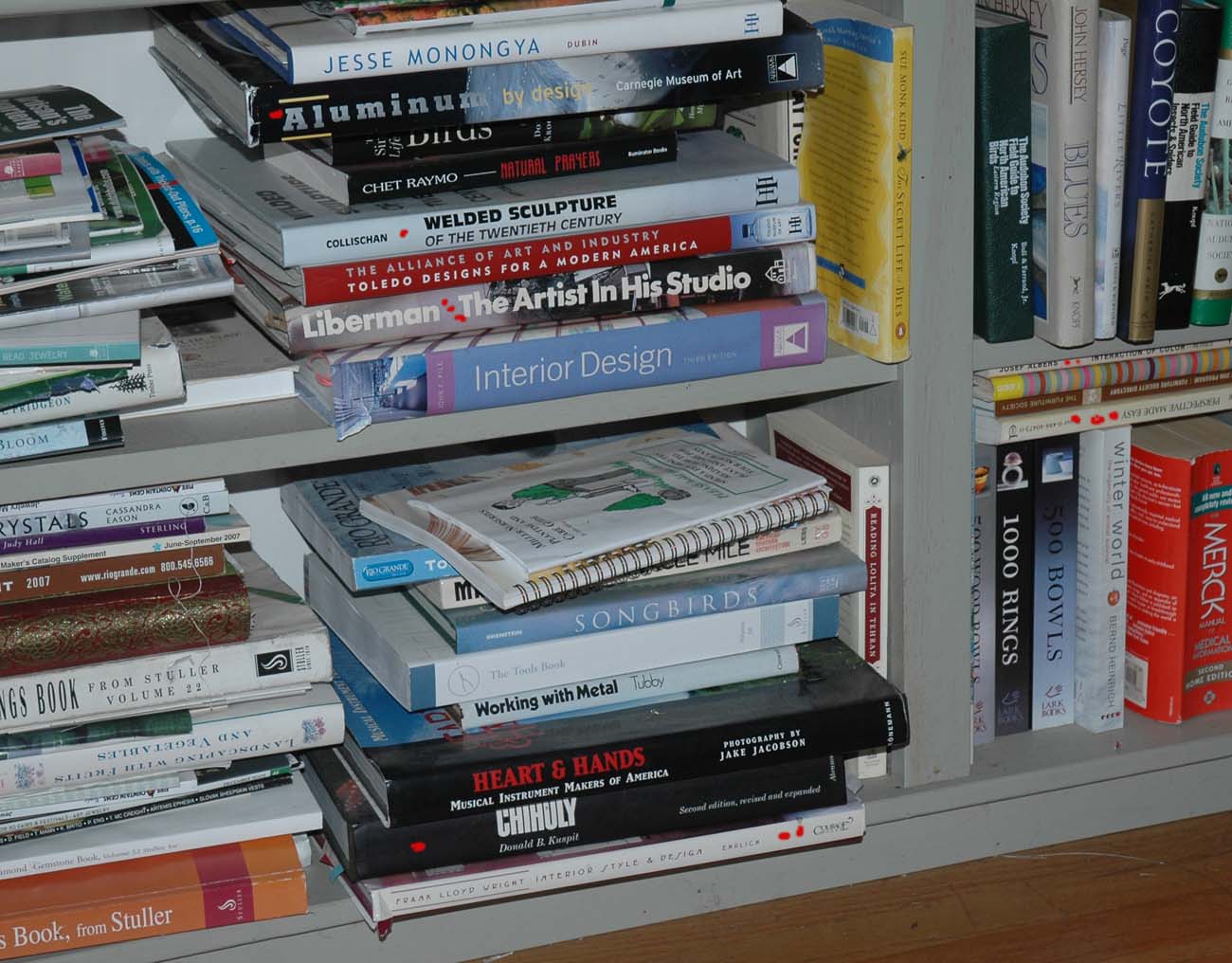 [library+3.jpg]