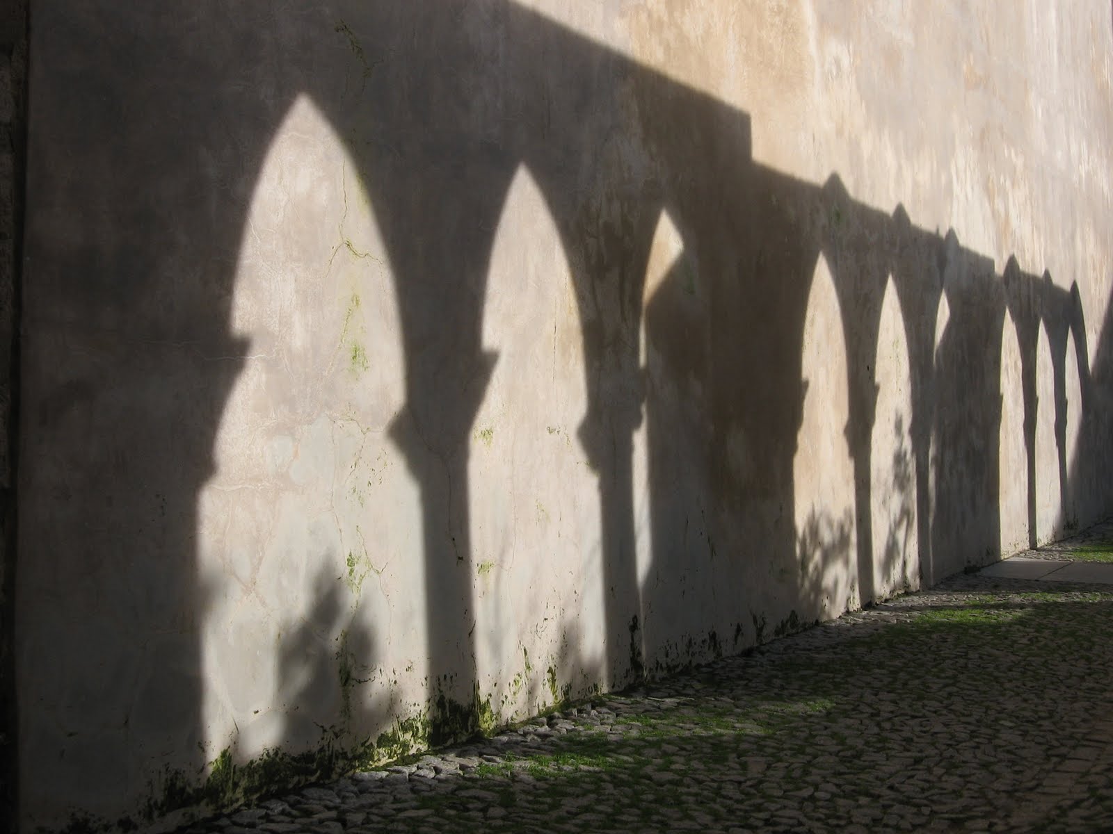 [IMG_0747.JPG]
