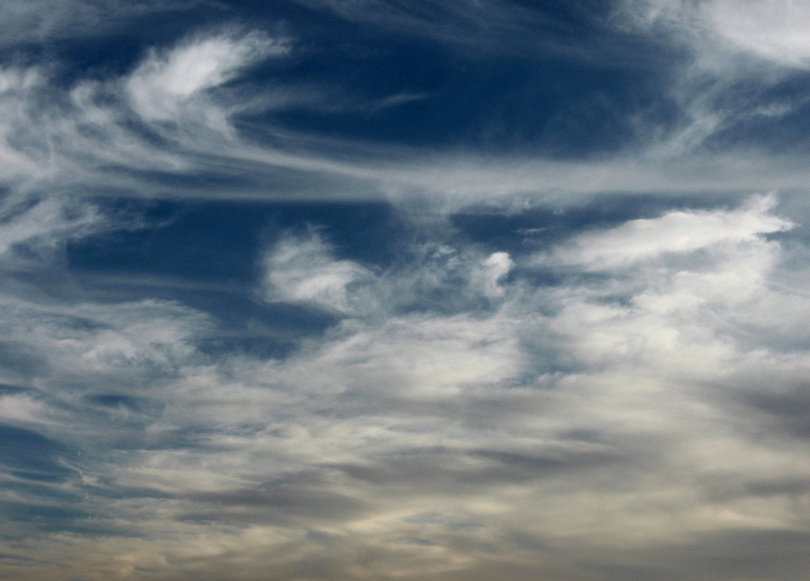 [IMG_5884.jpg]