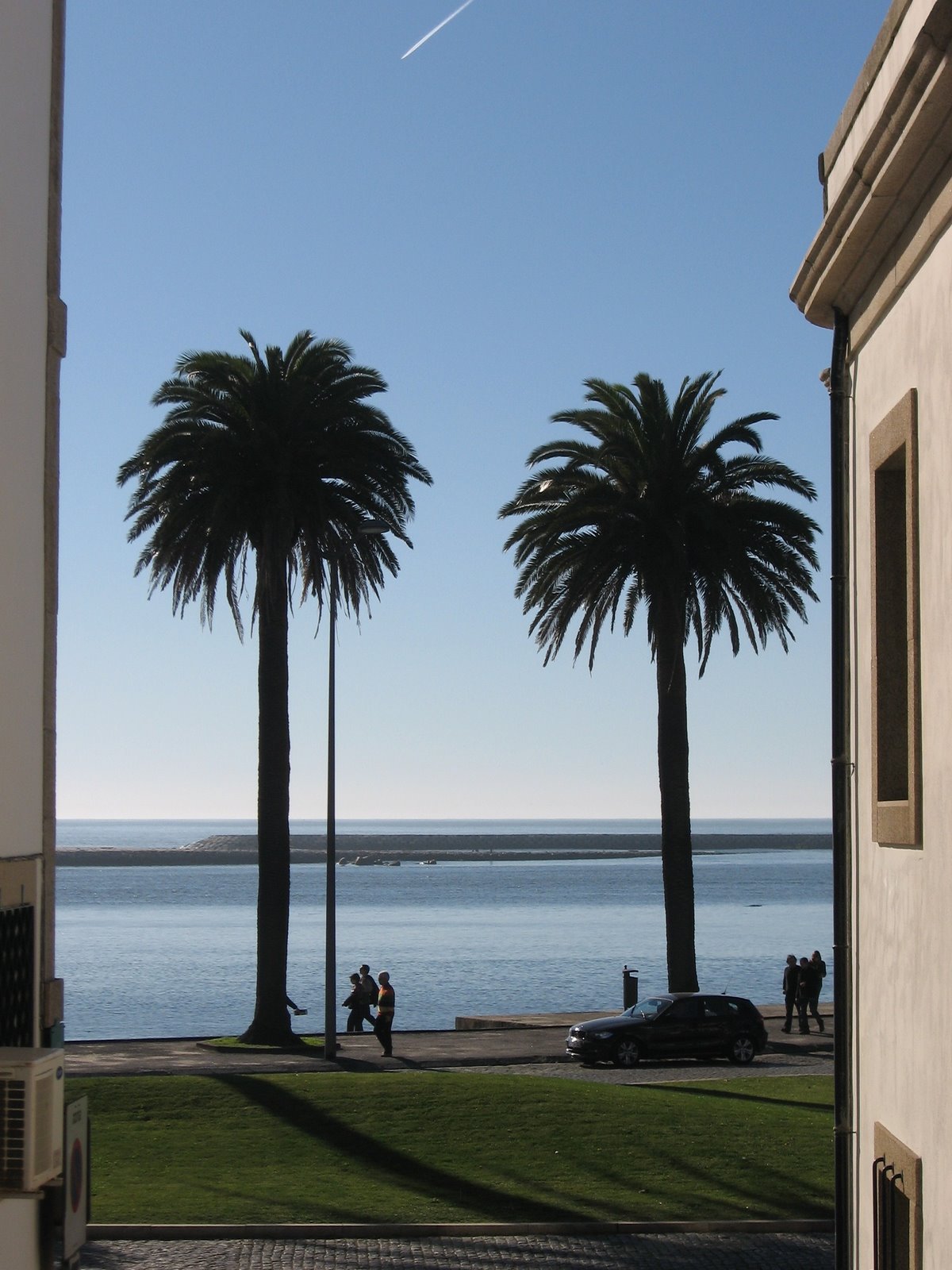 [IMG_6772.JPG]