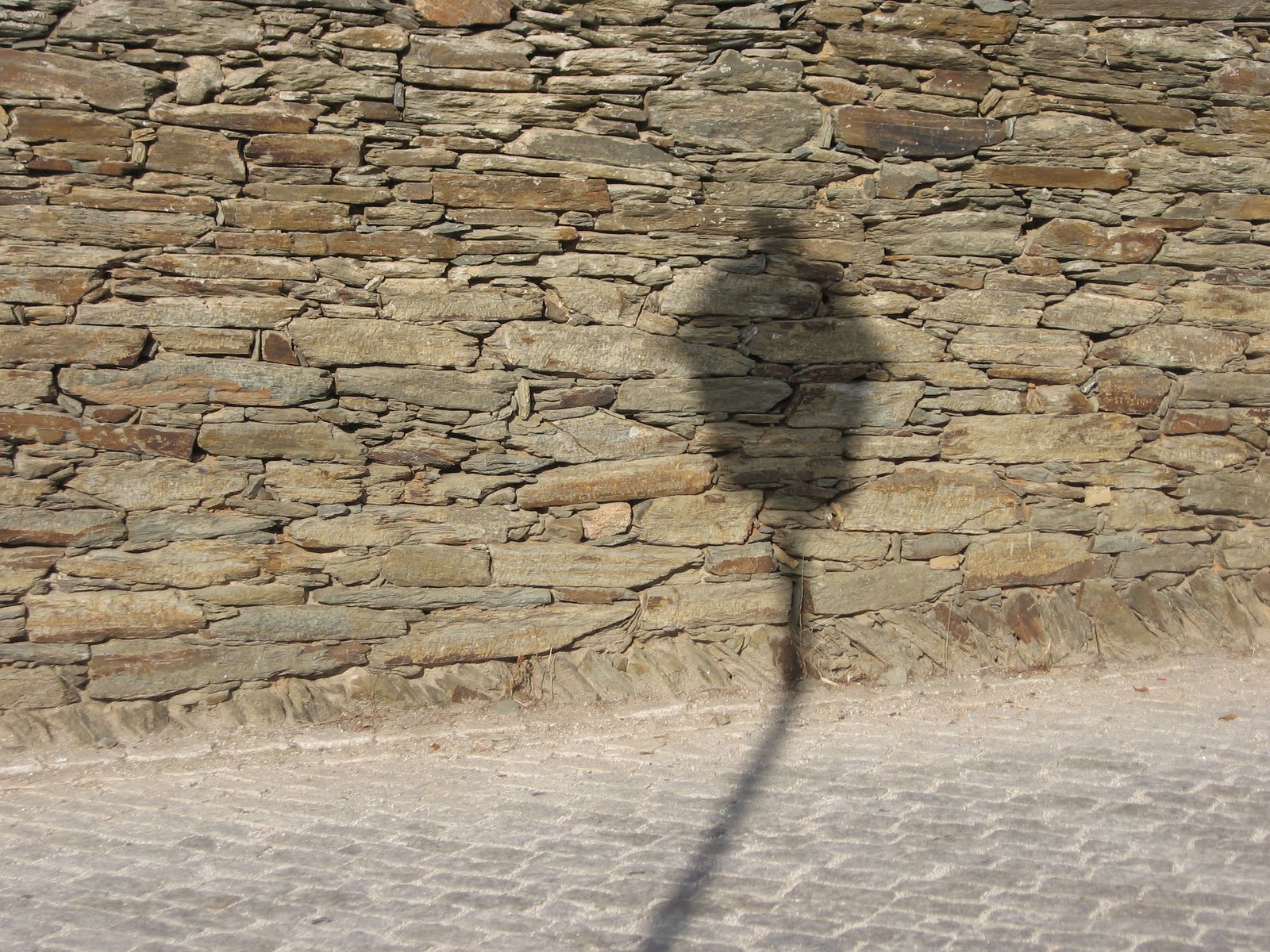 [IMG_0070.JPG]