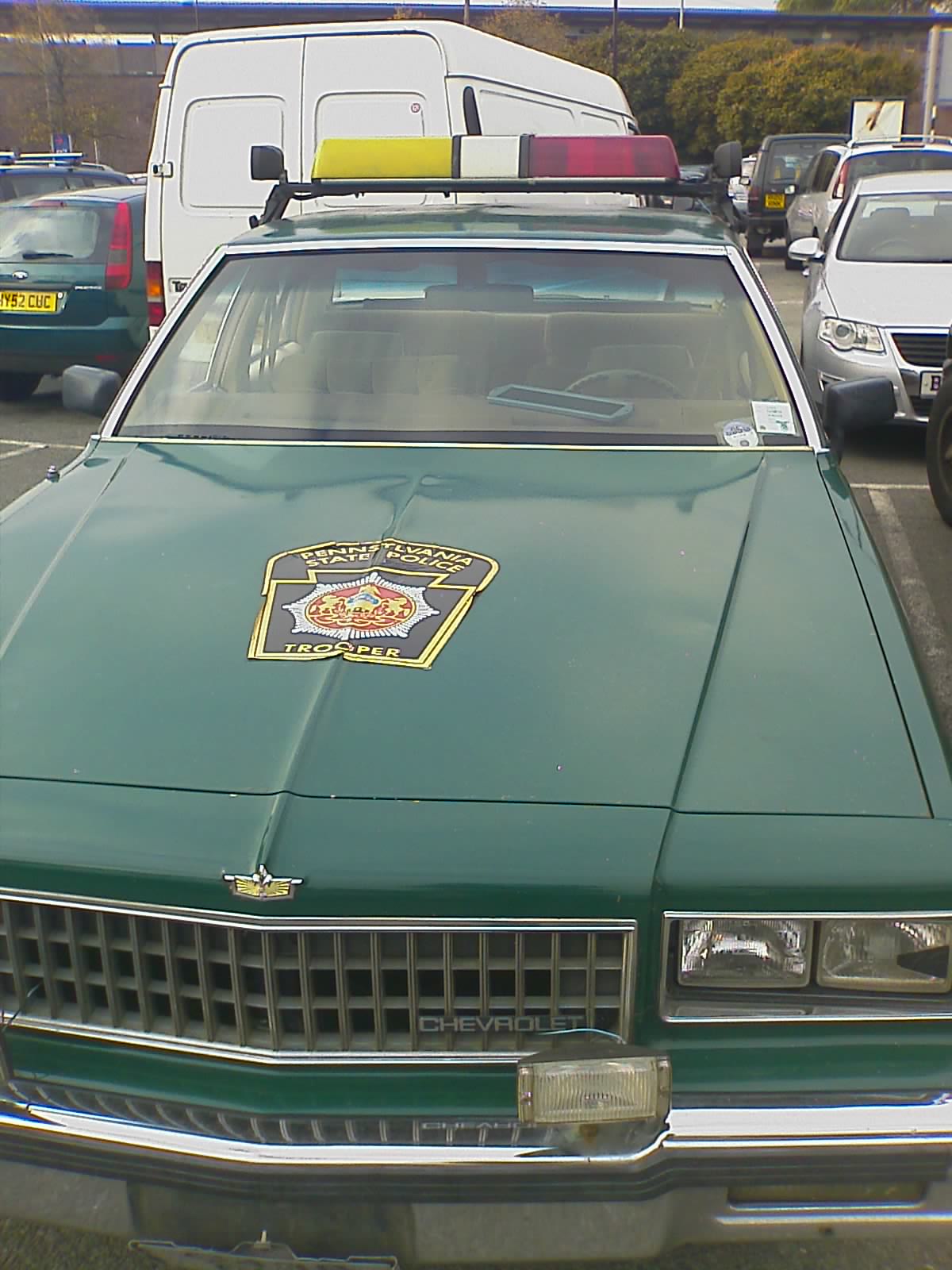 [IMAGE_338.jpg]