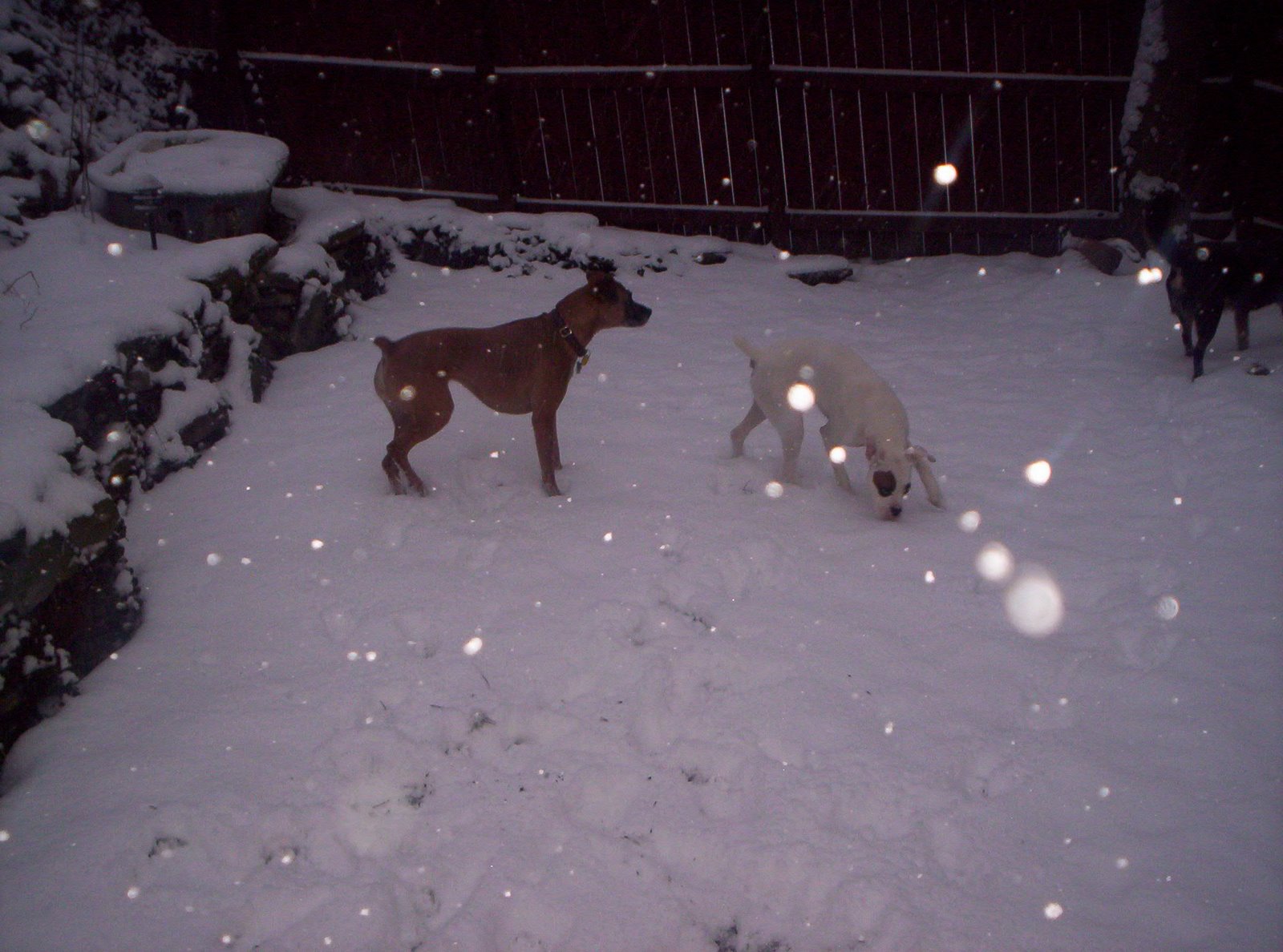 [Winter06-07+063.jpg]