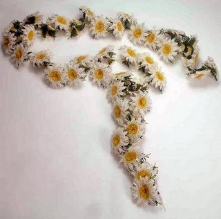 [croche_net_cachecol_de_margaridas.jpg]