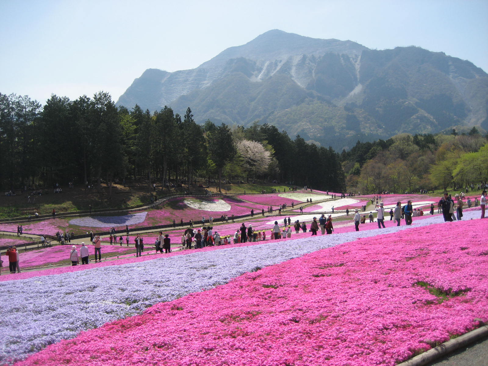 Hitsujiyama Park