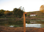 Fazenda Rozeta - São Gonçalo do Sapucaí , MG