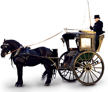 [HandsomeCab-logo-gif.gif]