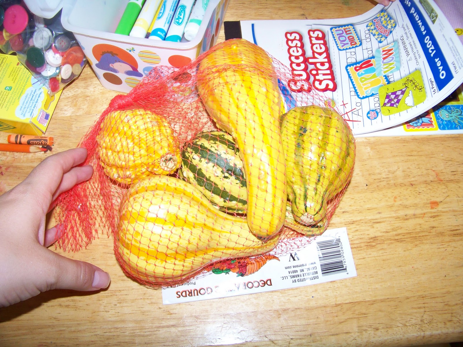 The World According To Rachel G. Making Gourd People!