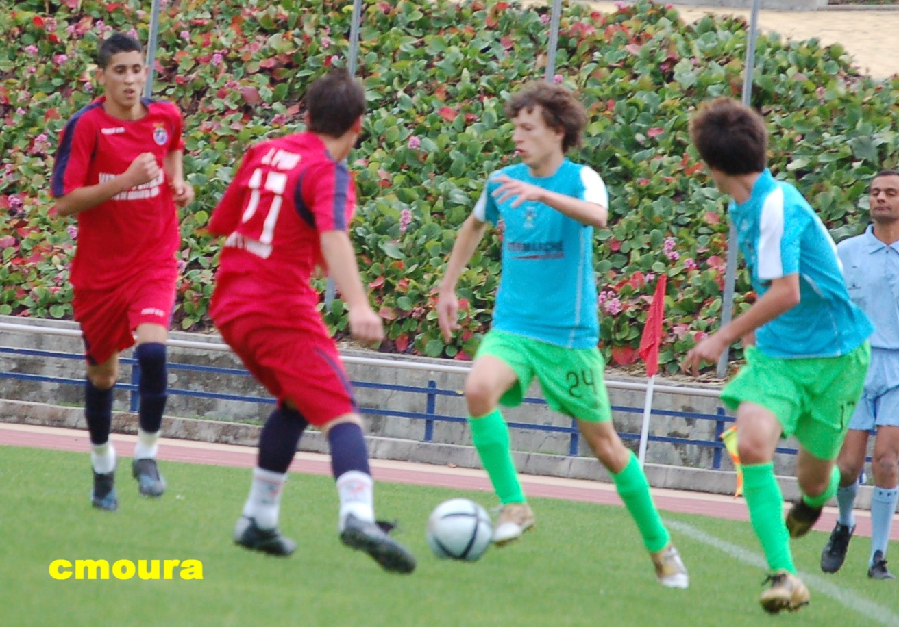 [DSC_0088.JPG]