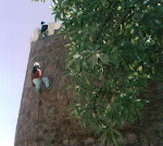 El Torreón, Parque El Loa.