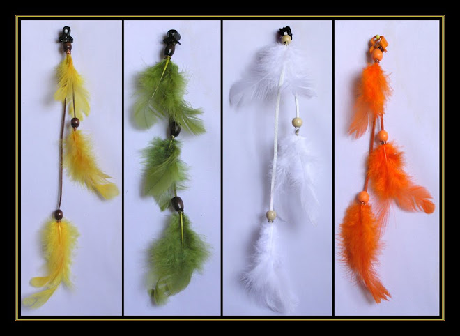 Feather Hair-clips