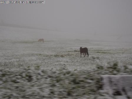 [Neve_em_elvas11.JPG]