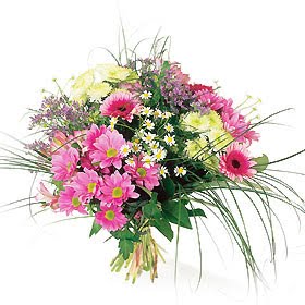 [bg_13981188-Ramo.jpg]