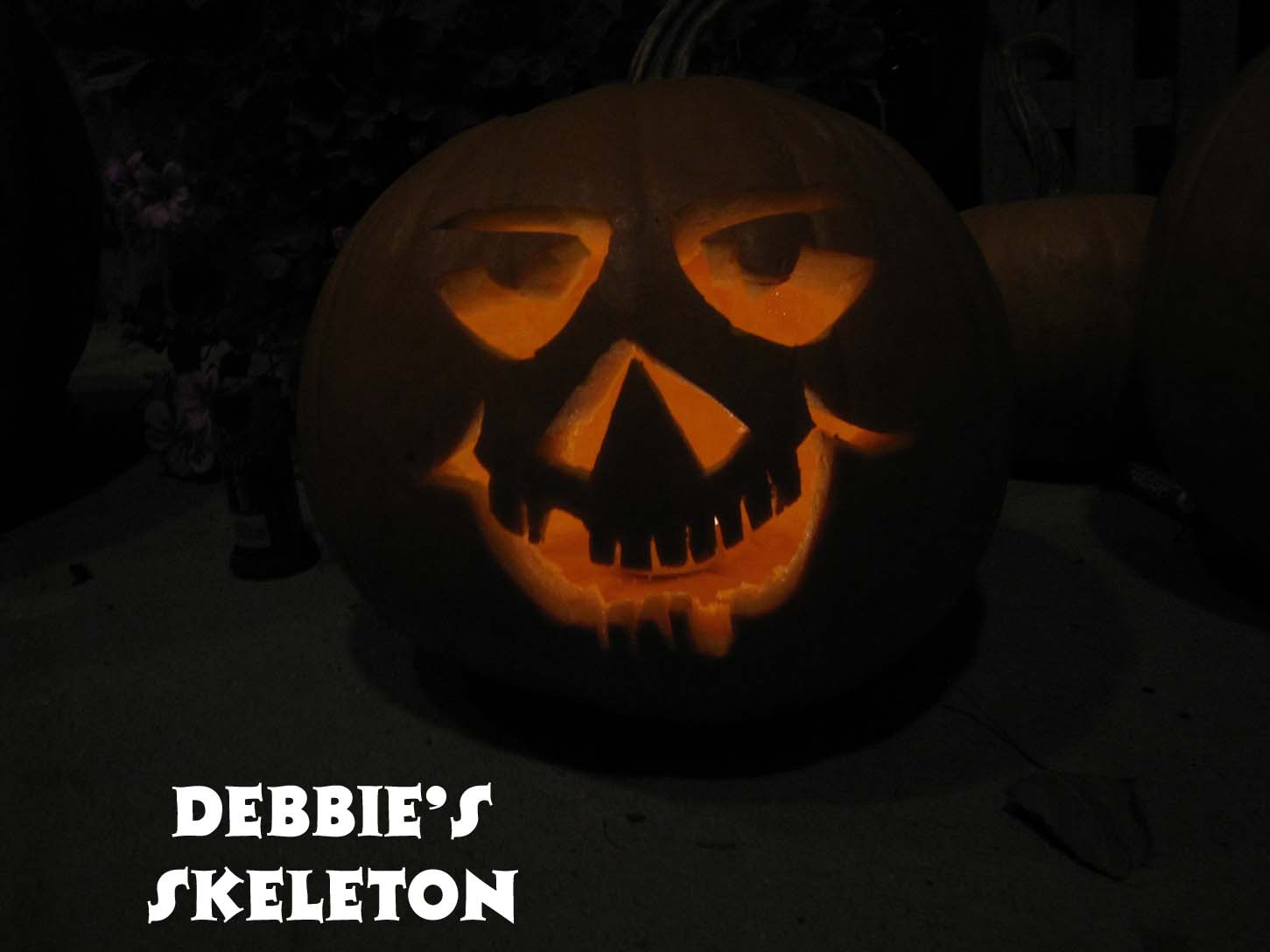 [Debbie's+Skeleton.jpg]
